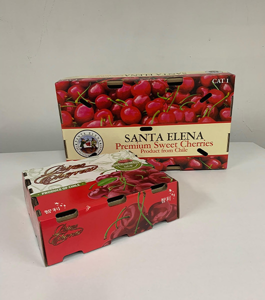 Cajas y envases para exportación de fruta