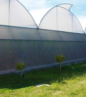 Kit mallas antiafidas para exportación