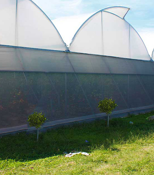 Kit mallas antiafidas para exportación