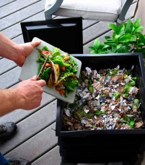 Compost